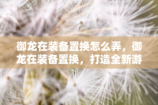 御龙在装备置换怎么弄，御龙在装备置换，打造全新游戏体验