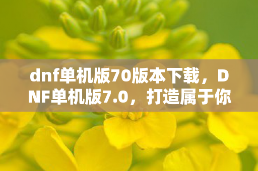 dnf单机版70版本下载，DNF单机版7.0，打造属于你的专属冒险世界