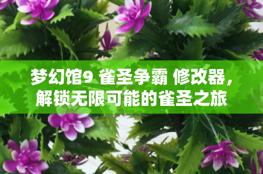 梦幻馆9 雀圣争霸 修改器，解锁无限可能的雀圣之旅