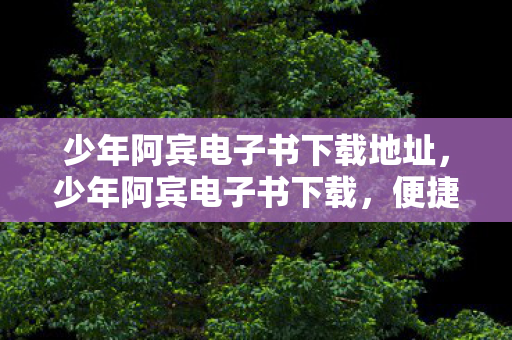 少年阿宾电子书下载地址，少年阿宾电子书下载，便捷阅读，海量资源