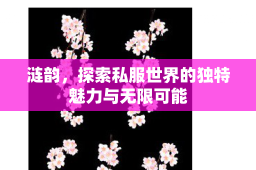 涟韵，探索私服世界的独特魅力与无限可能