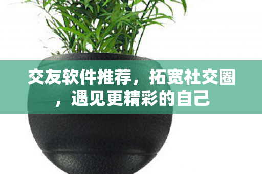 交友软件推荐，拓宽社交圈，遇见更精彩的自己