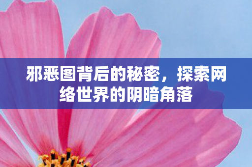 邪恶图背后的秘密，探索网络世界的阴暗角落