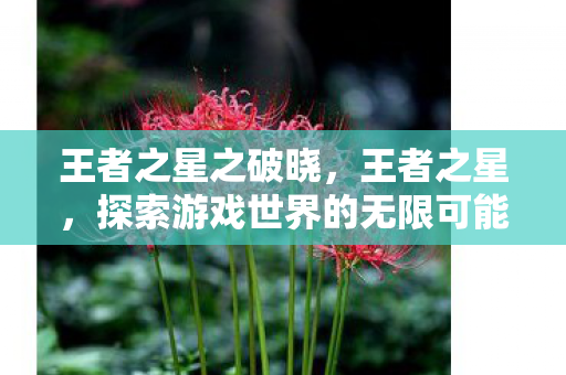 王者之星之破晓，王者之星，探索游戏世界的无限可能