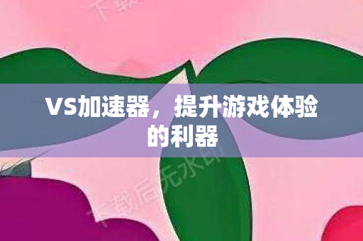 VS加速器，提升游戏体验的利器