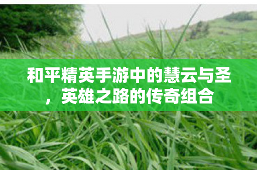 和平精英手游中的慧云与圣，英雄之路的传奇组合