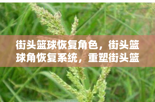 街头篮球恢复角色，街头篮球角恢复系统，重塑街头篮球文化的活力