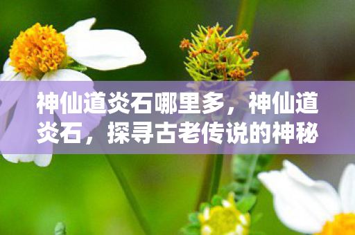 神仙道炎石哪里多，神仙道炎石，探寻古老传说的神秘力量