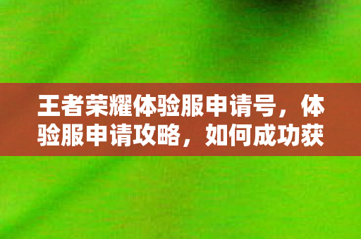 王者荣耀体验服申请号，体验服申请攻略，如何成功获取高级账号？