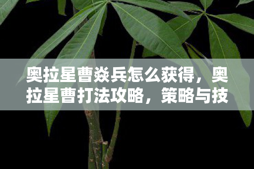 奥拉星曹焱兵怎么获得，奥拉星曹打法攻略，策略与技巧详解