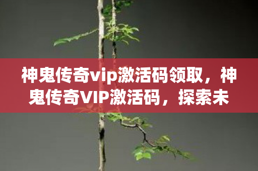神鬼传奇vip激活码领取，神鬼传奇VIP激活码，探索未知世界的神秘钥匙