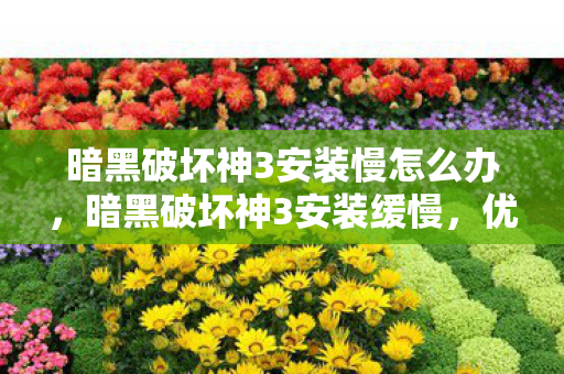 暗黑破坏神3安装慢怎么办，暗黑破坏神3安装缓慢，优化安装流程与提升下载速度的方法