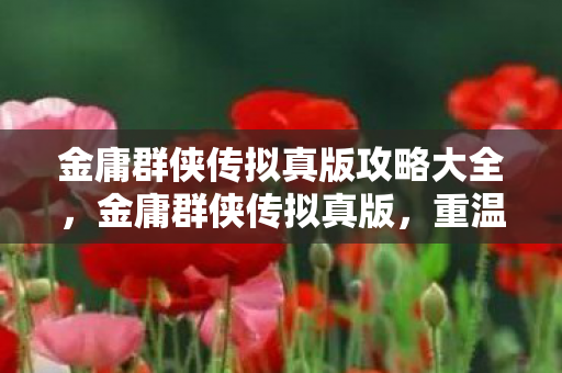 金庸群侠传拟真版攻略大全，金庸群侠传拟真版，重温武侠梦，体验江湖情