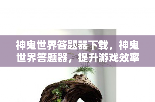 神鬼世界答题器下载，神鬼世界答题器，提升游戏效率与乐趣的利器