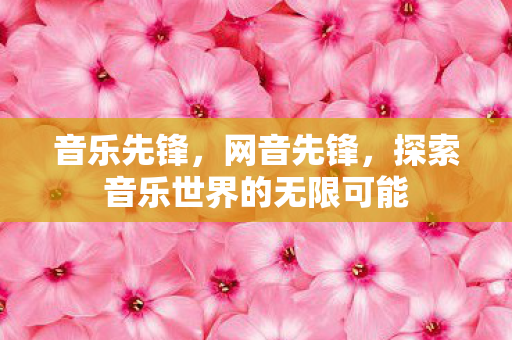 音乐先锋，网音先锋，探索音乐世界的无限可能