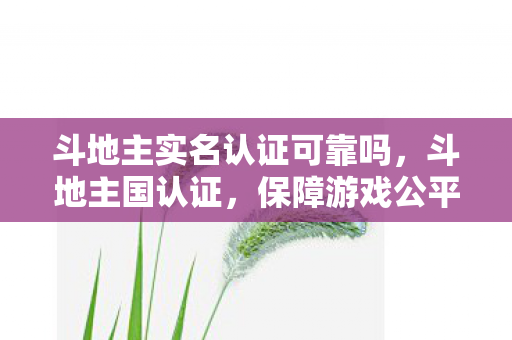 斗地主实名认证可靠吗，斗地主国认证，保障游戏公平与安全的重要一环