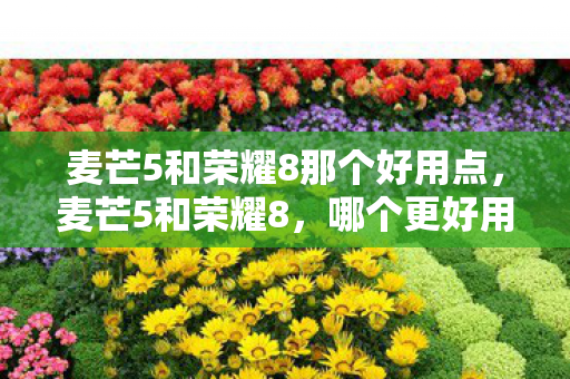 麦芒5和荣耀8那个好用点，麦芒5和荣耀8，哪个更好用？