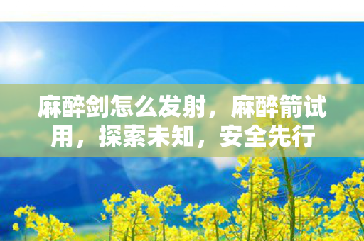 麻醉剑怎么发射，麻醉箭试用，探索未知，安全先行