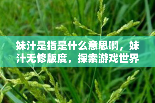 妹汁是指是什么意思啊，妹汁无修版度，探索游戏世界的独特魅力