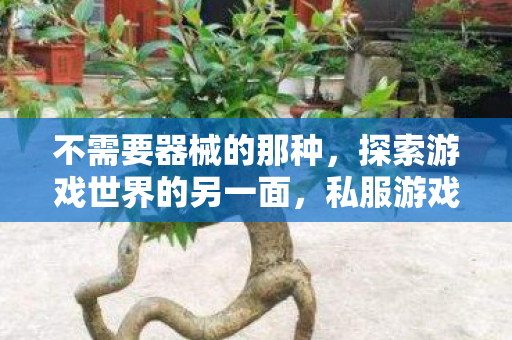 不需要器械的那种，探索游戏世界的另一面，私服游戏的魅力与风险