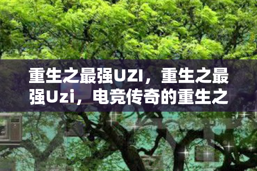 重生之最强UZI，重生之最强Uzi，电竞传奇的重生之路