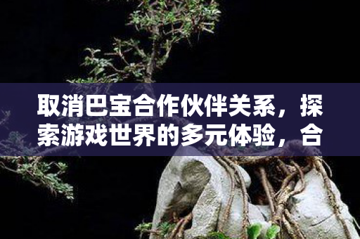取消巴宝合作伙伴关系，探索游戏世界的多元体验，合法视角下的游戏服务器选择