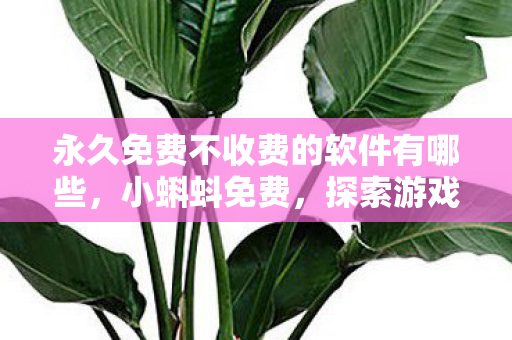 永久免费不收费的软件有哪些，小蝌蚪免费，探索游戏世界的无限可能