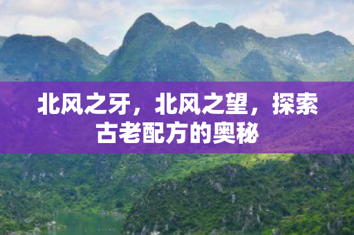 北风之牙，北风之望，探索古老配方的奥秘