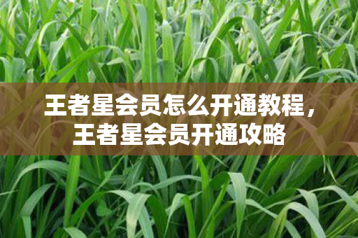 王者星会员怎么开通教程，王者星会员开通攻略
