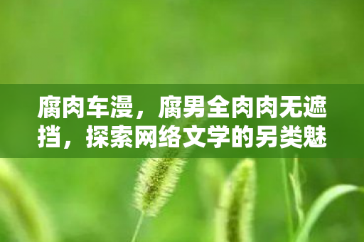 腐肉车漫，腐男全肉肉无遮挡，探索网络文学的另类魅力