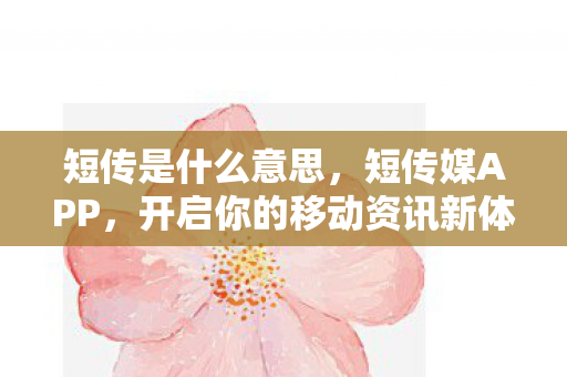 短传是什么意思，短传媒APP，开启你的移动资讯新体验