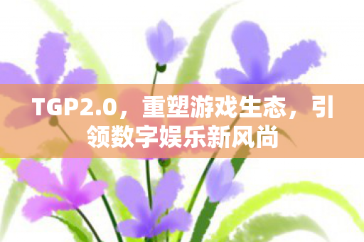 TGP2.0，重塑游戏生态，引领数字娱乐新风尚