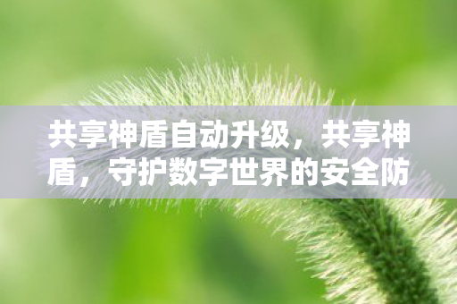 共享神盾自动升级，共享神盾，守护数字世界的安全防线