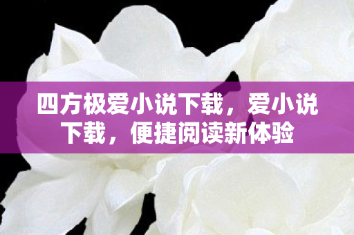 四方极爱小说下载，爱小说下载，便捷阅读新体验