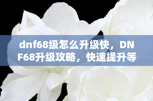 dnf68级怎么升级快，DNF68升级攻略，快速提升等级的方法与技巧