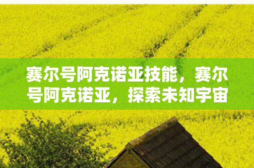 赛尔号阿克诺亚技能，赛尔号阿克诺亚，探索未知宇宙的神秘之旅