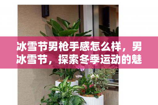 冰雪节男枪手感怎么样，男冰雪节，探索冬季运动的魅力与激情