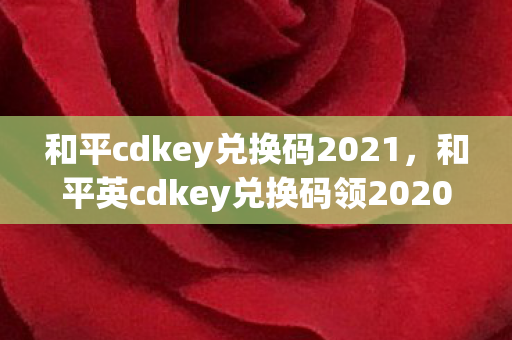 和平cdkey兑换码2021，和平英cdkey兑换码领2020，解锁专属福利，畅享游戏新体验
