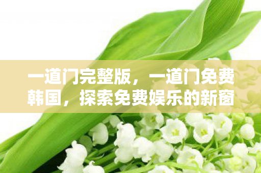 一道门完整版，一道门免费韩国，探索免费娱乐的新窗口