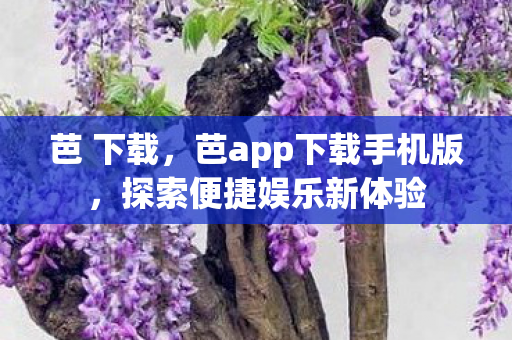 芭 下载，芭app下载手机版，探索便捷娱乐新体验