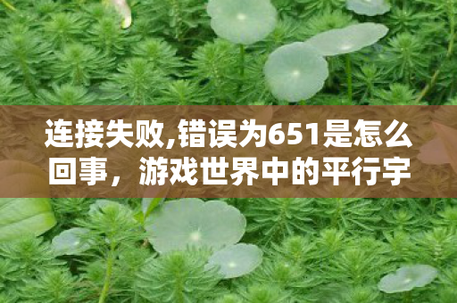 连接失败,错误为651是怎么回事，游戏世界中的平行宇宙，探索官方与私服的微妙差异