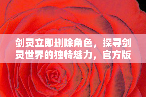 剑灵立即删除角色，探寻剑灵世界的独特魅力，官方版本与玩家社区的交织