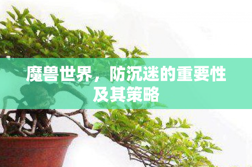 魔兽世界，防沉迷的重要性及其策略