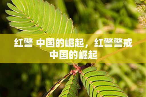 红警 中国的崛起，红警警戒中国的崛起