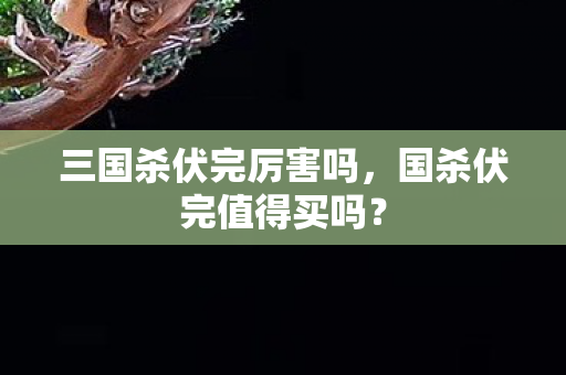 三国杀伏完厉害吗，国杀伏完值得买吗？