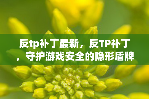 反tp补丁最新，反TP补丁，守护游戏安全的隐形盾牌
