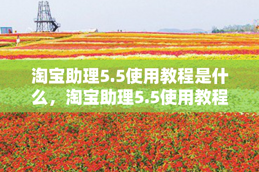 淘宝助理5.5使用教程是什么，淘宝助理5.5使用教程