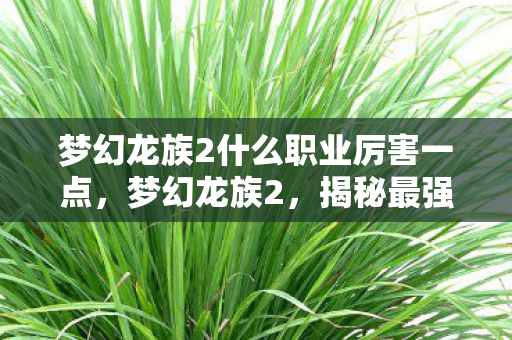 梦幻龙族2什么职业厉害一点，梦幻龙族2，揭秘最强大的职业