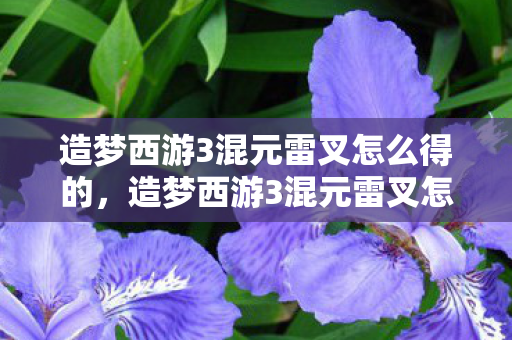 造梦西游3混元雷叉怎么得的，造梦西游3混元雷叉怎么得