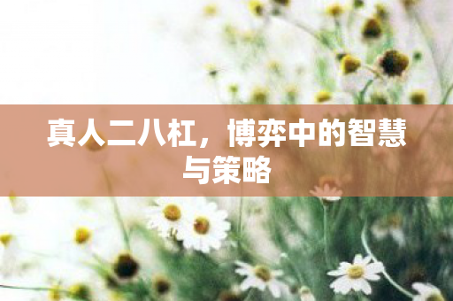 真人二八杠，博弈中的智慧与策略